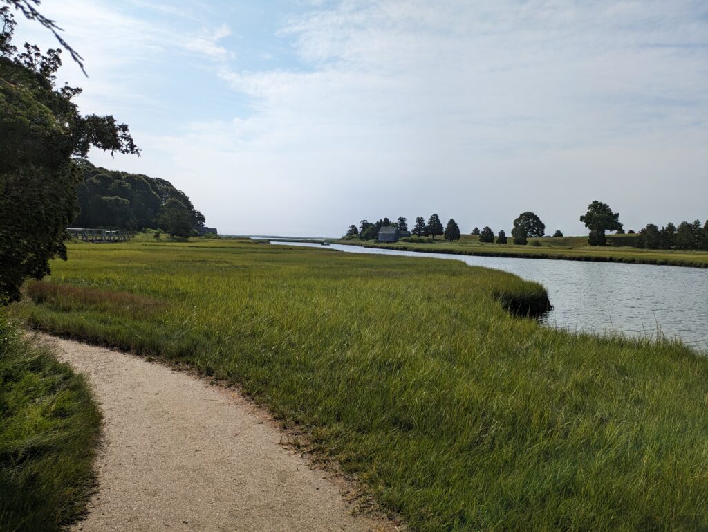 A gravel path winds through a classic coastal salt marsh.