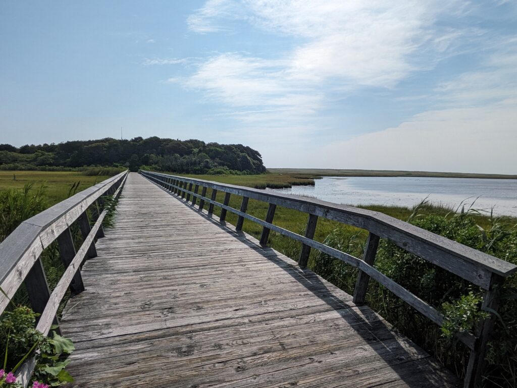 Long wooden boardwalk stretching across a sunny coastal marsh.