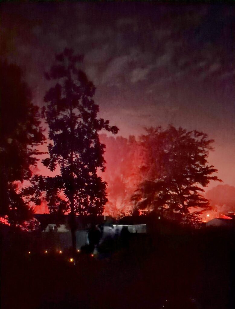 Silhouetted trees against a night sky lit by fire.