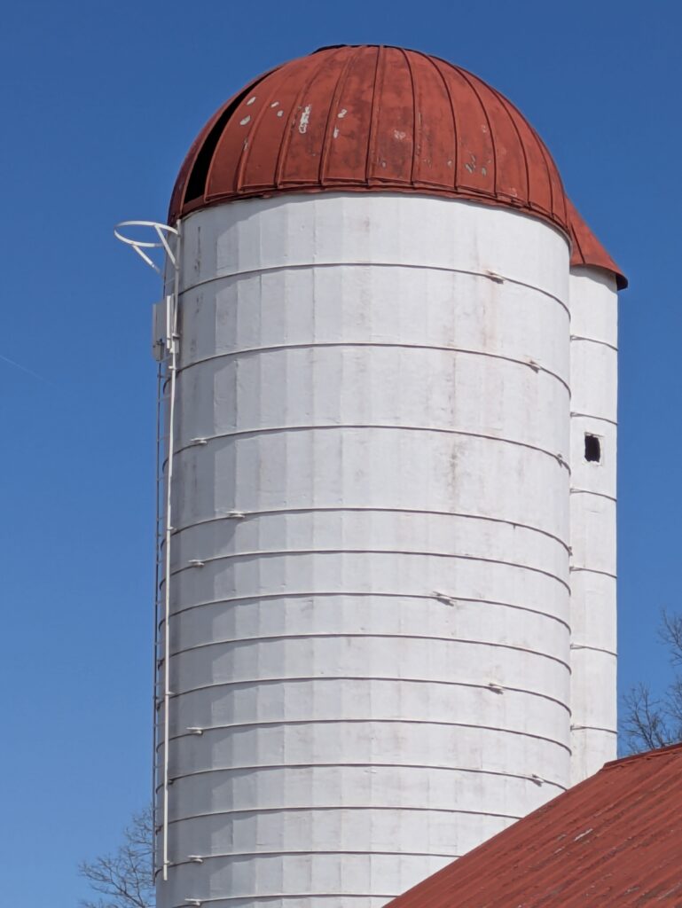 White farm silo with a red dome and ladder.