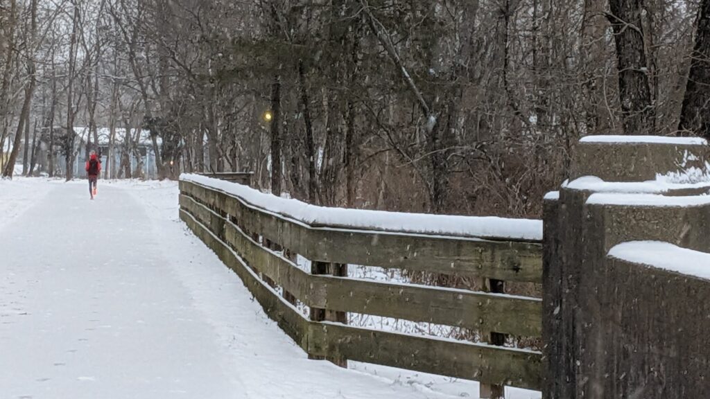 A person in a red jacket on a snowy trail.